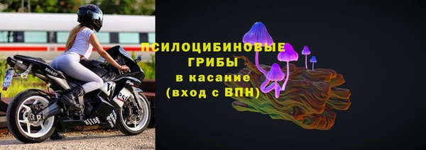 соль ск Аркадак
