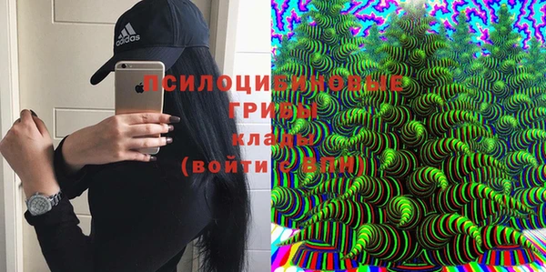 соль ск Аркадак