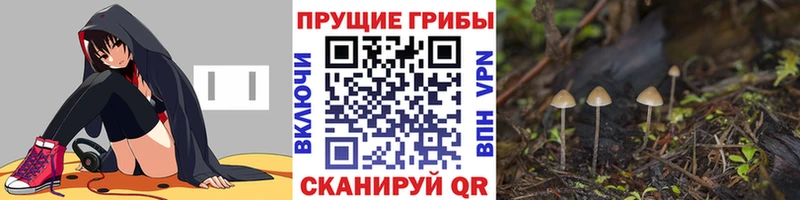Галлюциногенные грибы мицелий  где купить наркоту  Суворов 