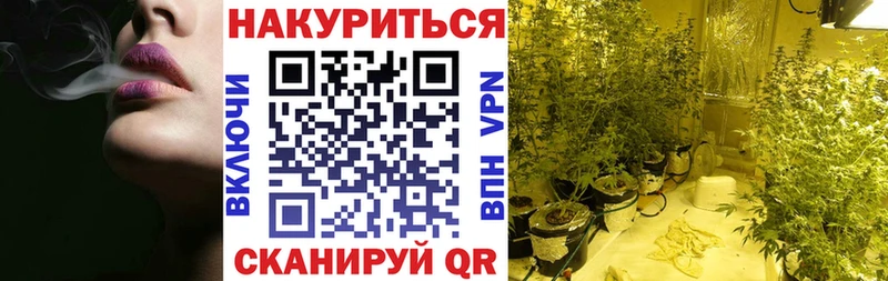 Шишки марихуана MAZAR Суворов